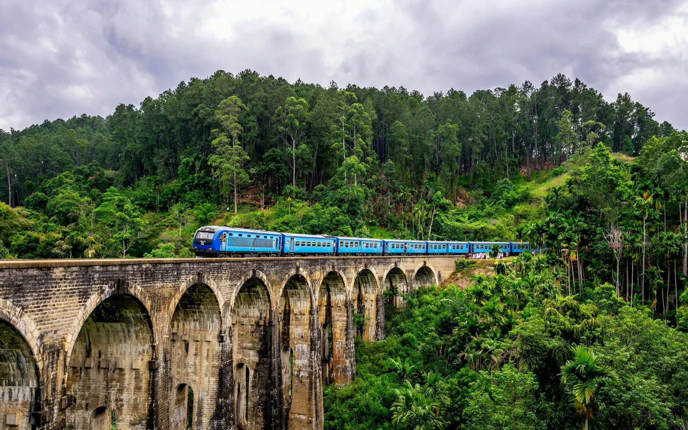 Train winding through Sri Lanka's misty hill country