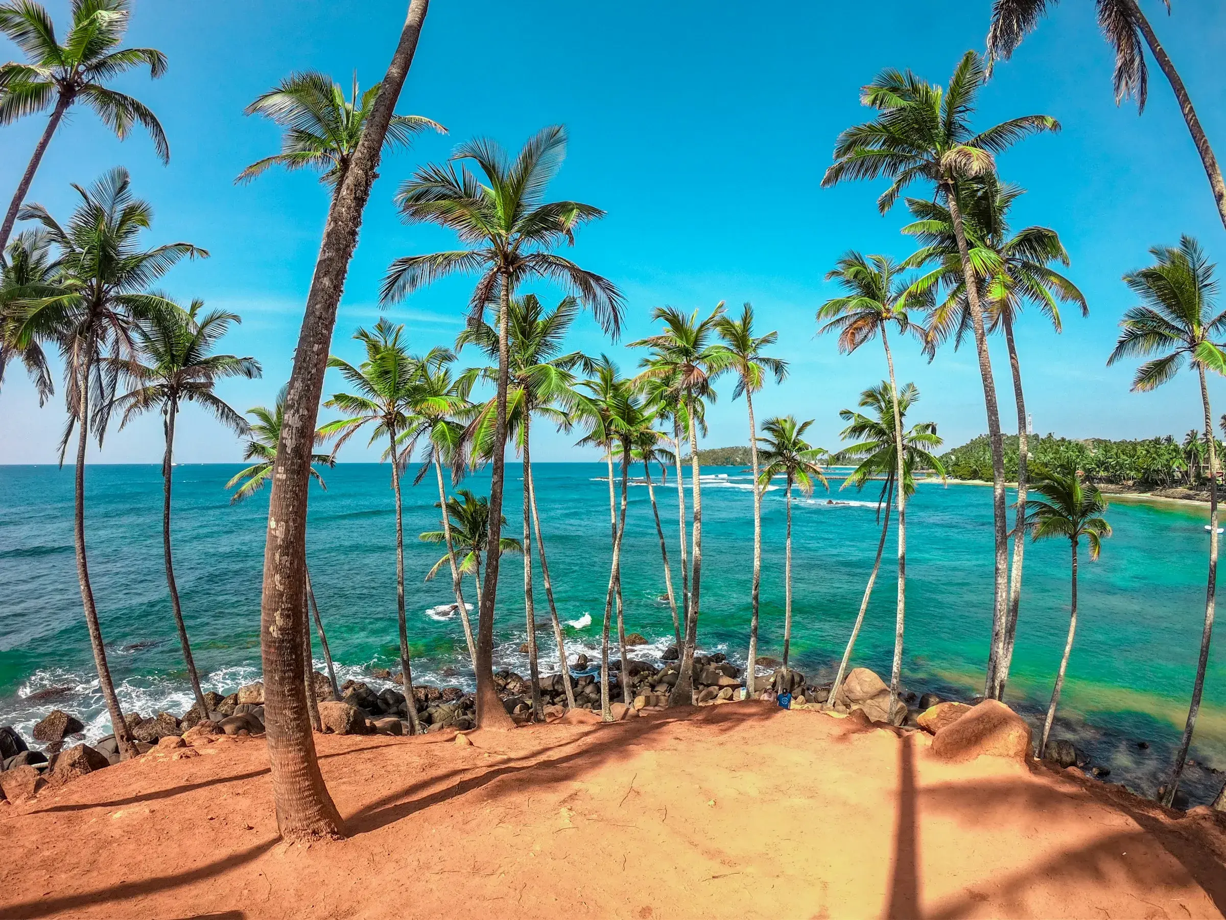 Palm trees and the Indian Ocean near Weligama on Sri Lanka's southern coast